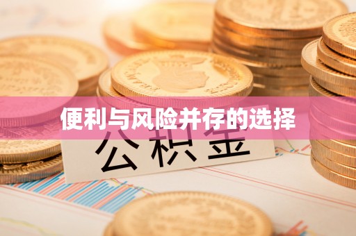 霞山便利与风险并存的选择