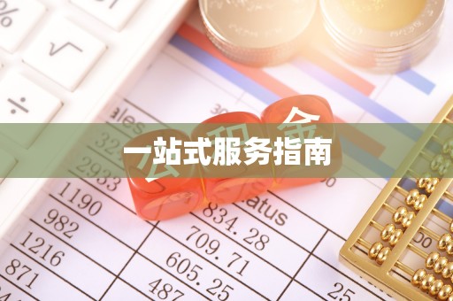 金秀一站式服务指南