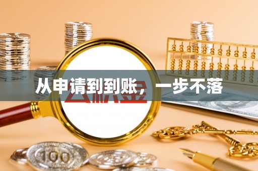 玛纳斯从申请到到账，一步不落